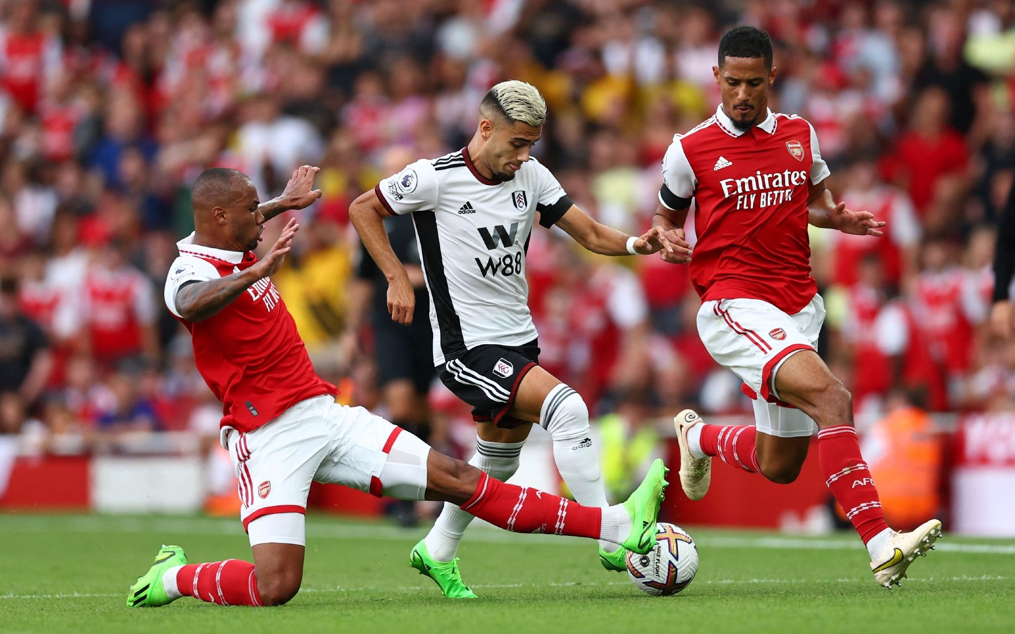 神也激励着 神也激励着